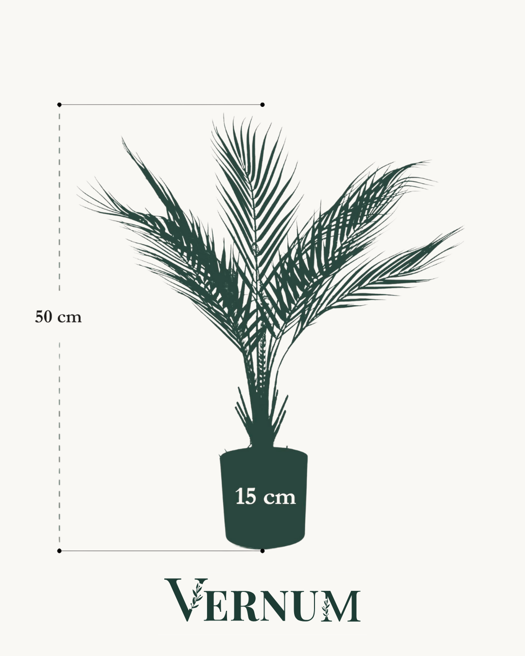 Kunstplant Chamaedorea Bergpalm 50 cm