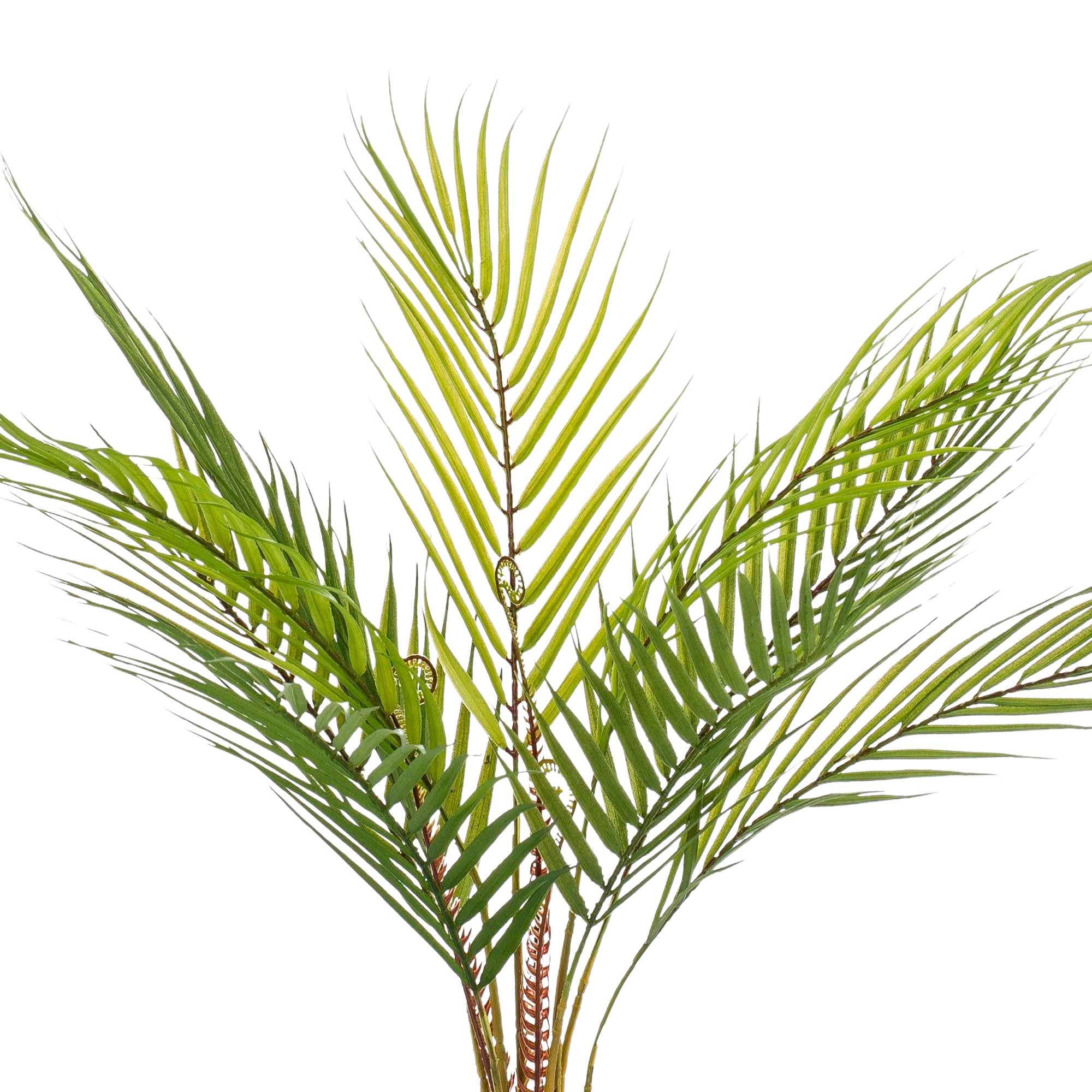 Kunstplant Chamaedorea Bergpalm 50 cm