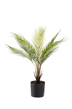 Kunstplant Chamaedorea Bergpalm 50 cm