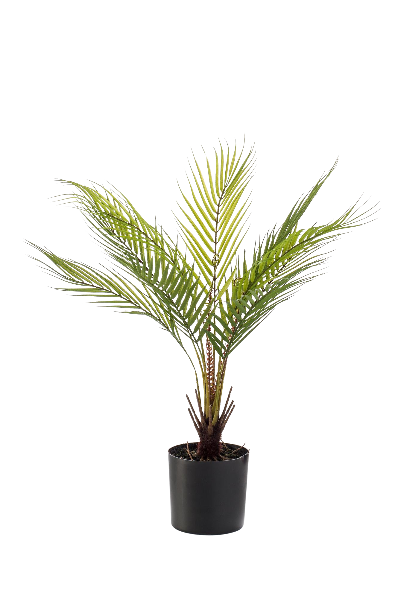 Kunstplant Chamaedorea Bergpalm 50 cm