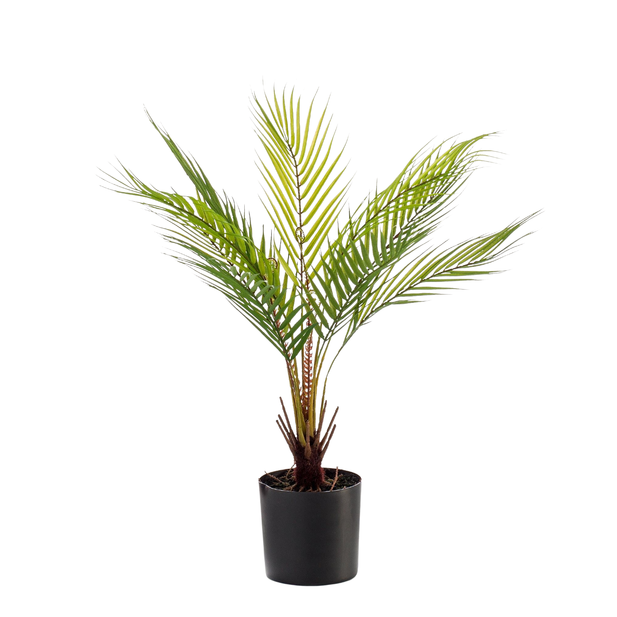 Kunstplant Chamaedorea Bergpalm 50 cm