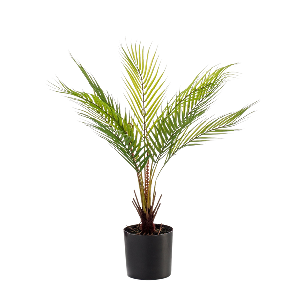 Kunstplant Chamaedorea Bergpalm 50 cm