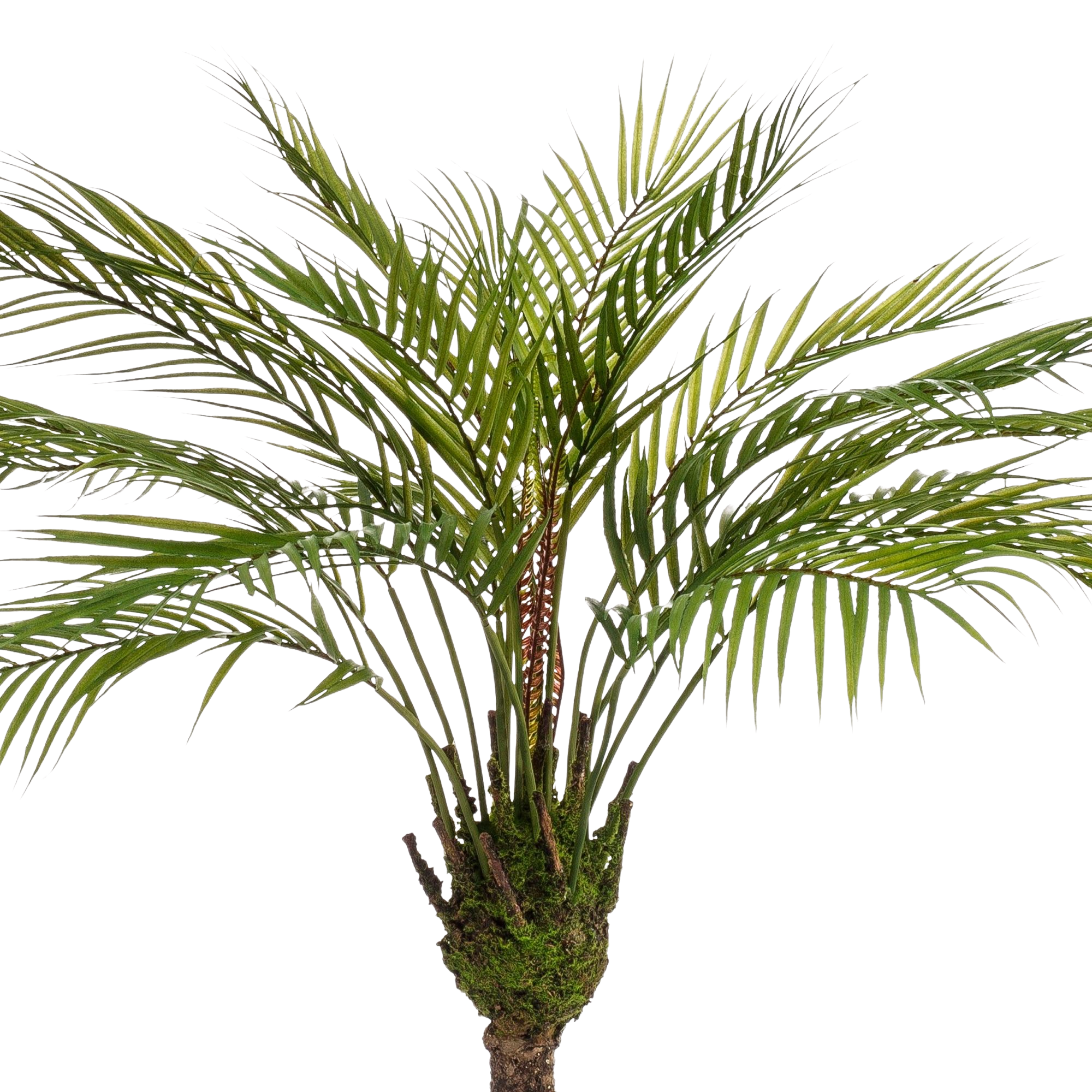 Kunstplant Chamaedorea Bergpalm 85 cm