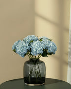 Acht blauwe hortensia's