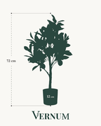 Kunstplant Citrus Limonia 75 cm
