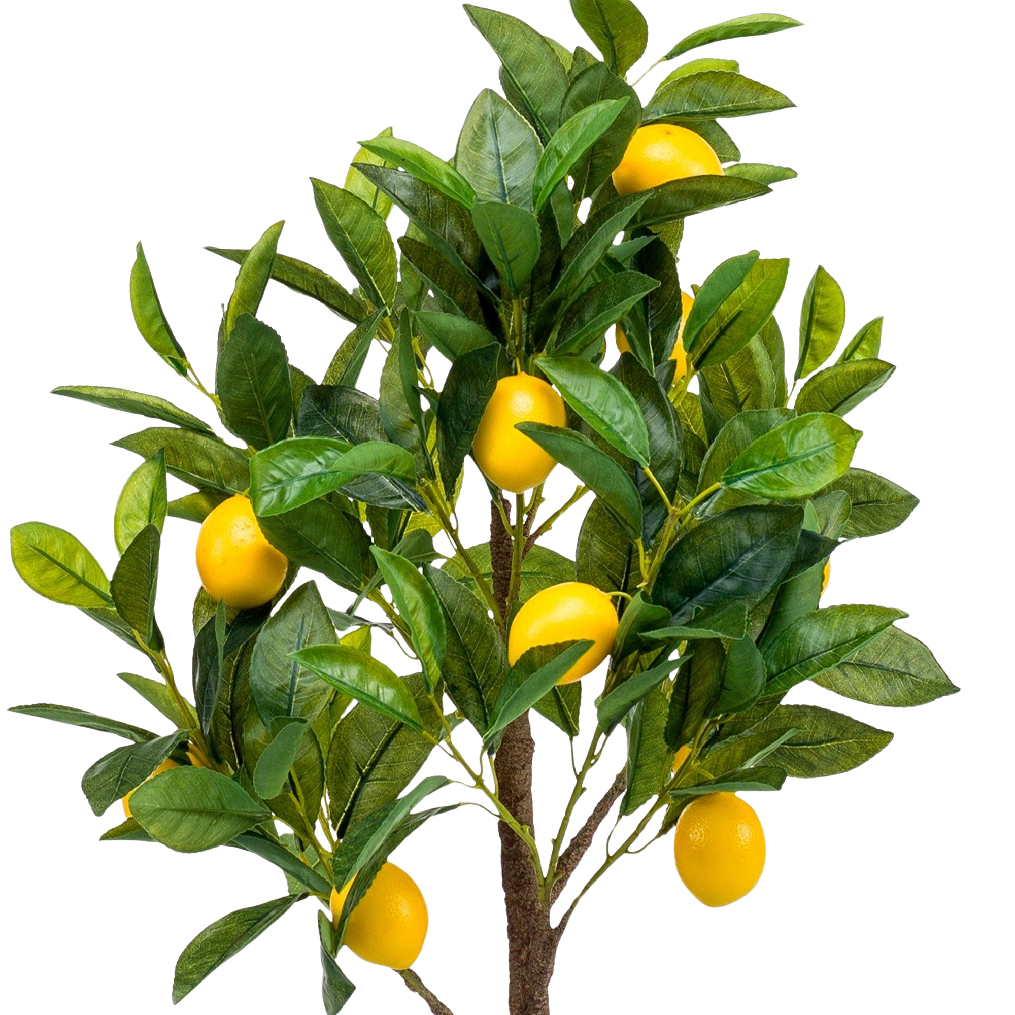 Kunstplant Citrus Limonia 75 cm