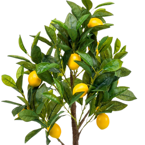 Kunstplant Citrus Limonia 75 cm