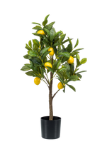 Kunstplant Citrus Limonia 75 cm