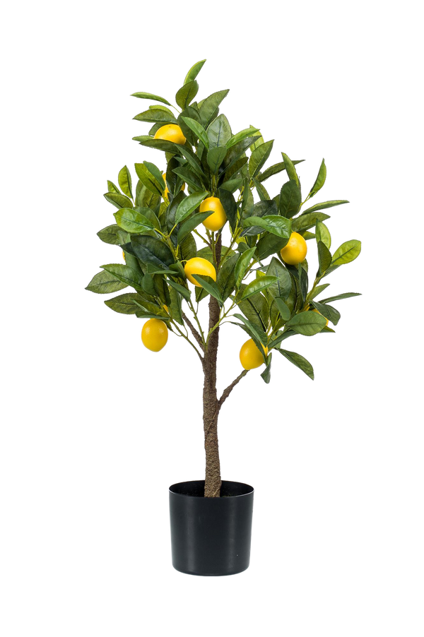 Kunstplant Citrus Limonia 75 cm