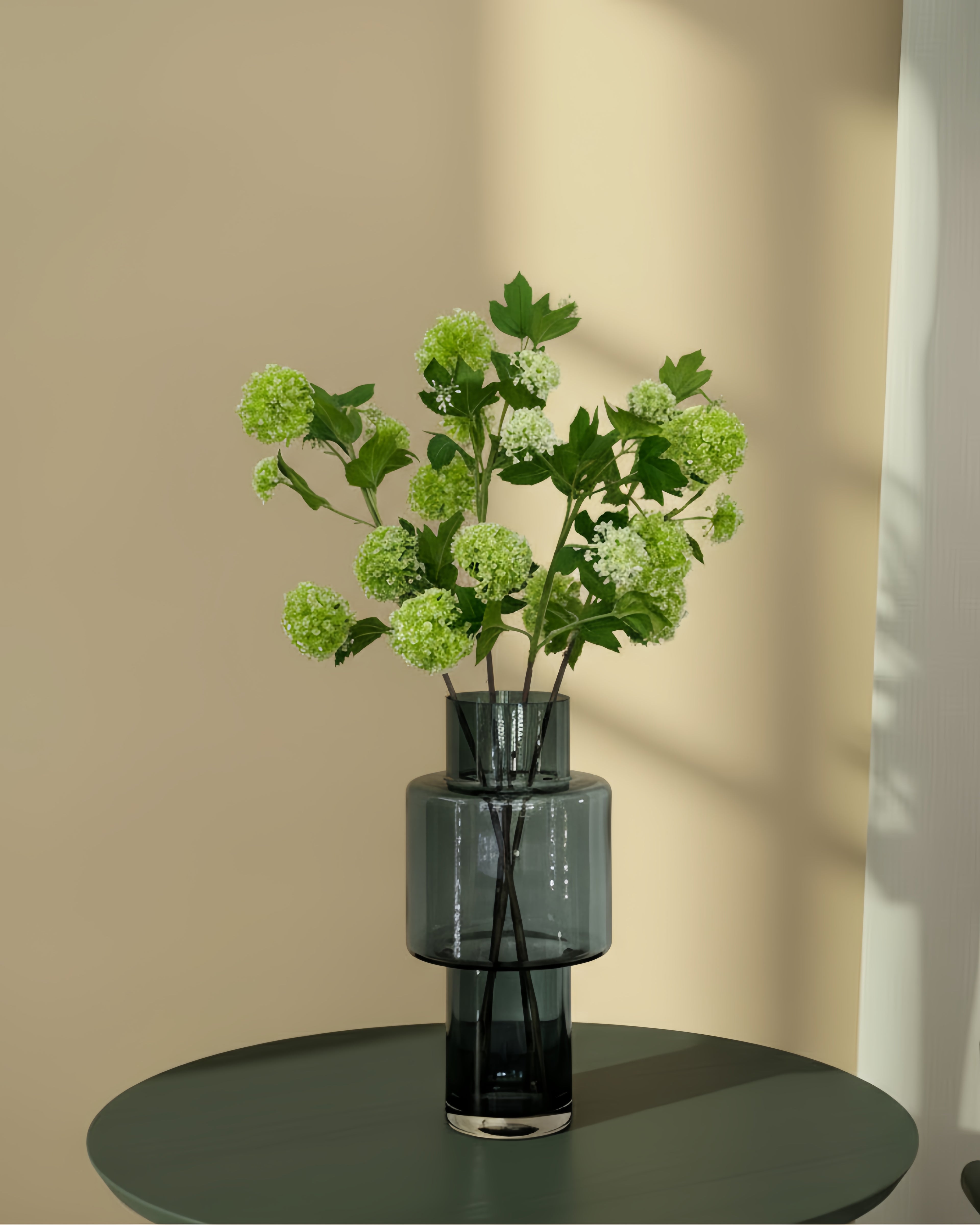 Vier viburnum opulus takken