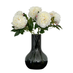 Vijf crèmekleurige pioenen