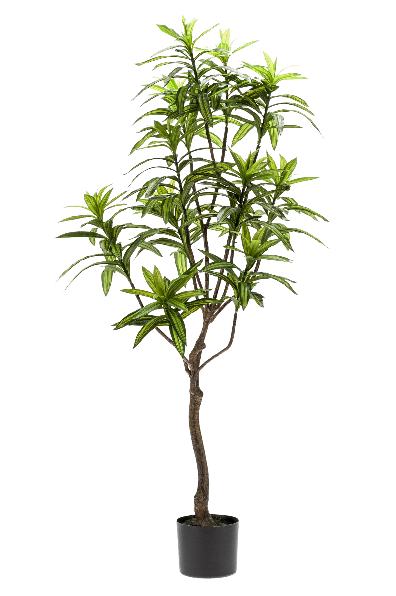 Kunstplant Dracaena 130 cm