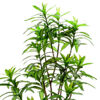 Kunstplant Dracaena 130 cm