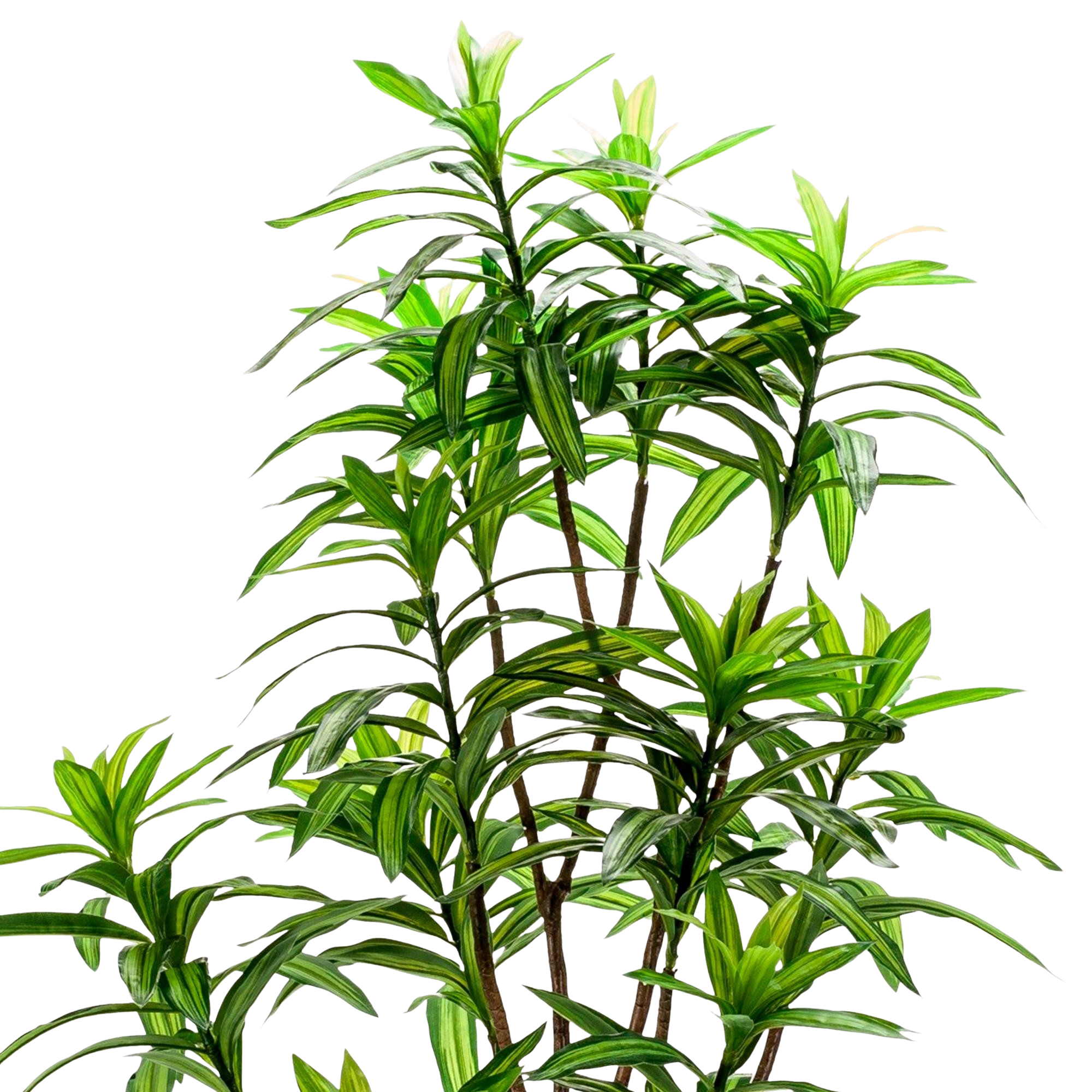 Kunstplant Dracaena 130 cm