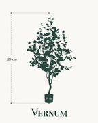 Kunstplant Eucalyptus 120 cm