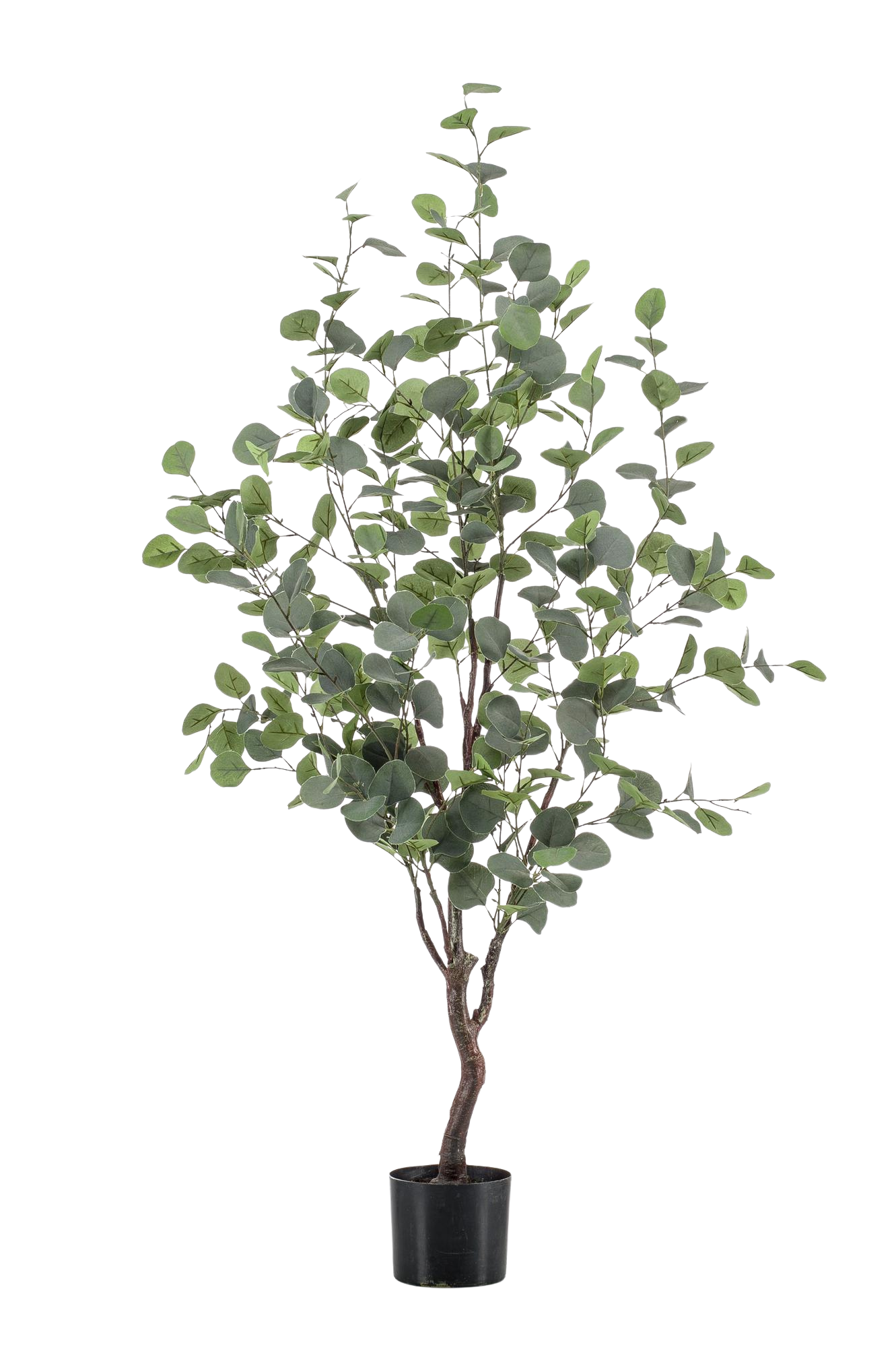 Kunstplant Eucalyptus 120 cm