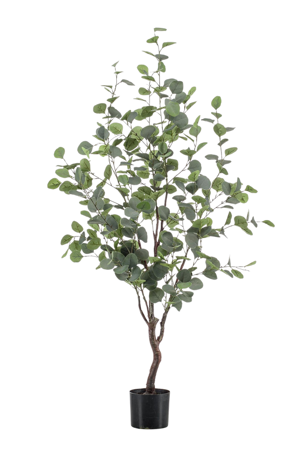 Kunstplant Eucalyptus 120 cm