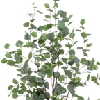 Kunstplant Eucalyptus 120 cm