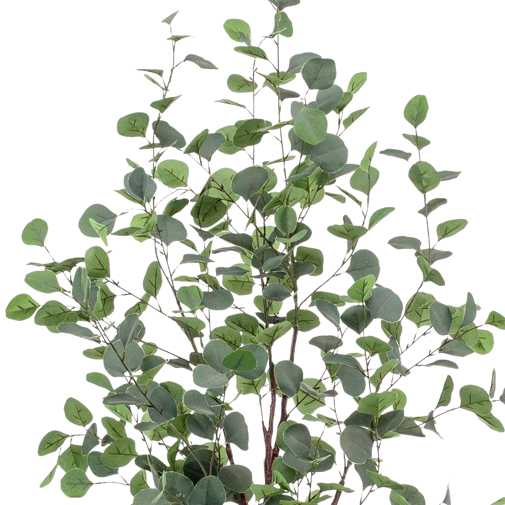 Kunstplant Eucalyptus 120 cm