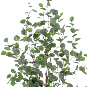 Kunstplant Eucalyptus 120 cm
