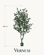 Kunstplant Eucalyptus 180 cm