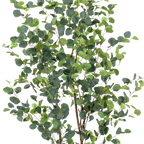 Kunstplant Eucalyptus 180 cm