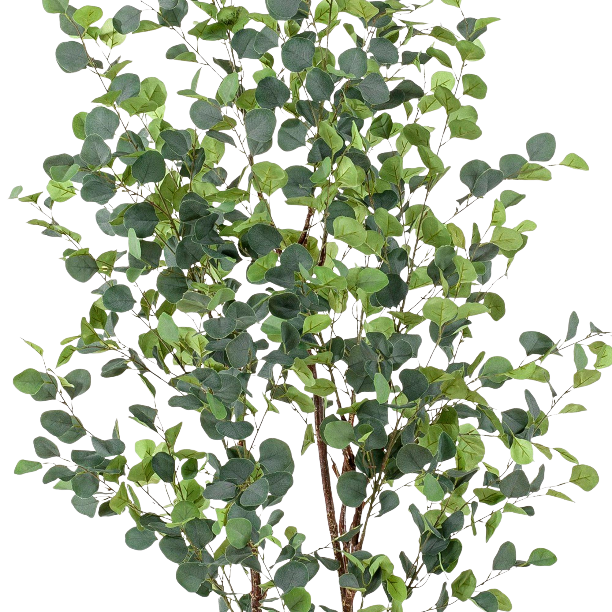 Kunstplant Eucalyptus 180 cm