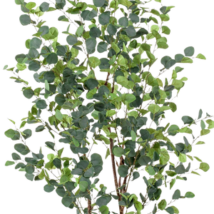 Kunstplant Eucalyptus 180 cm
