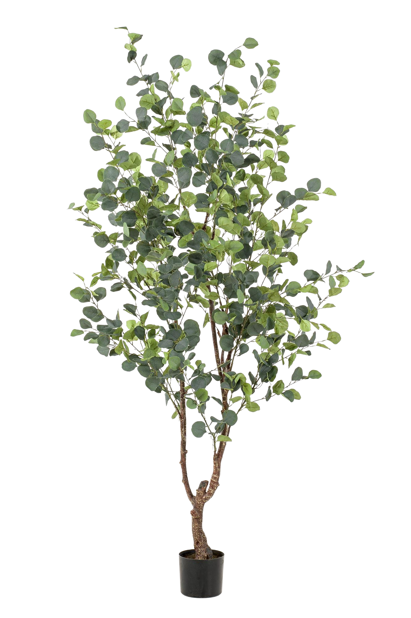Kunstplant Eucalyptus 180 cm