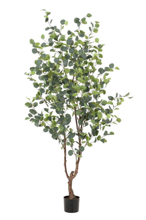 Kunstplant Eucalyptus 180 cm