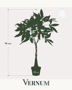 Kunstplant Pachira Aquatica 90cm