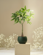 Kunstplant Pachira Aquatica 90cm