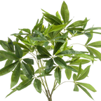 Kunstplant Pachira Aquatica 90cm