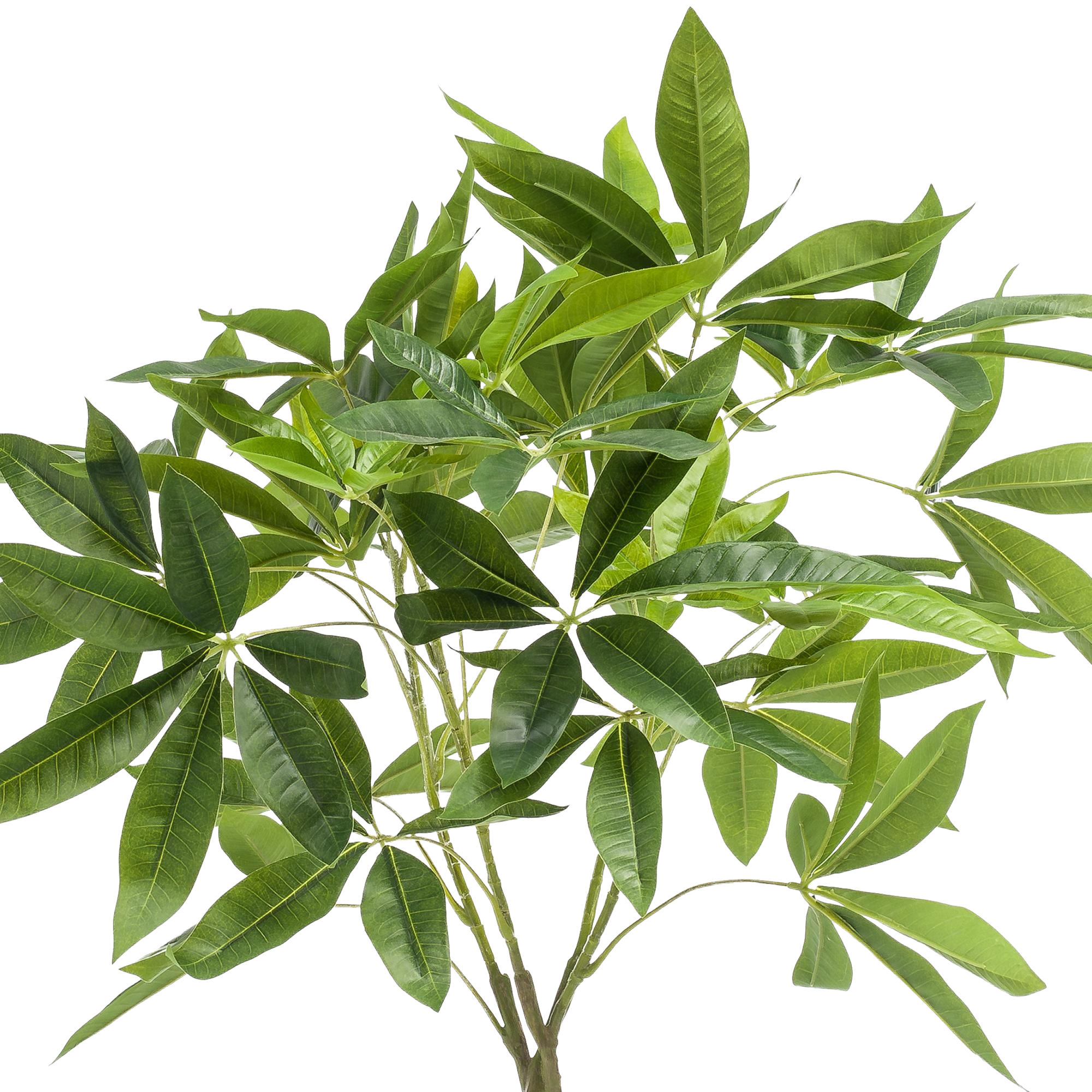 Kunstplant Pachira Aquatica 90cm