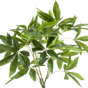 Kunstplant Pachira Aquatica 90cm