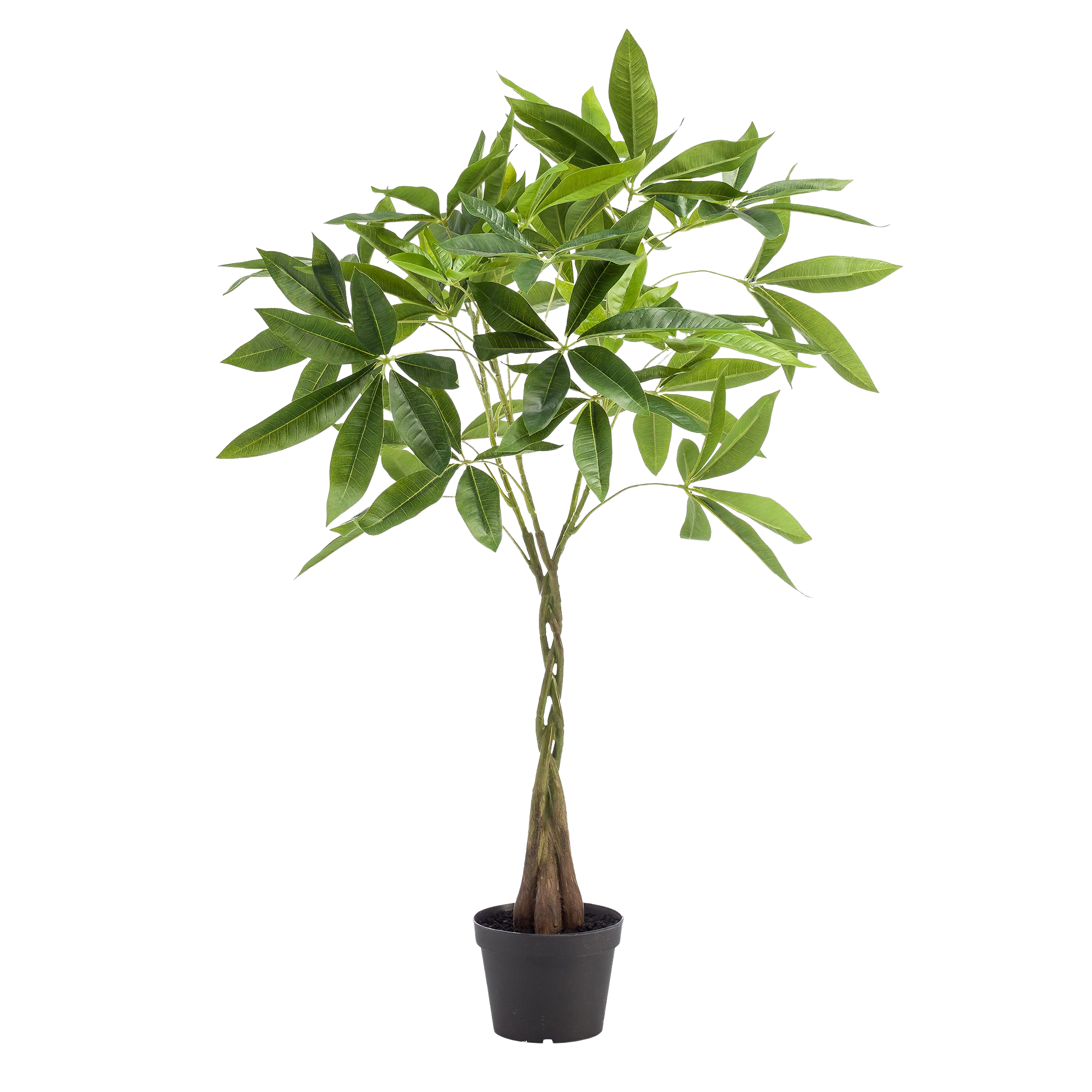 Kunstplant Pachira Aquatica 90cm