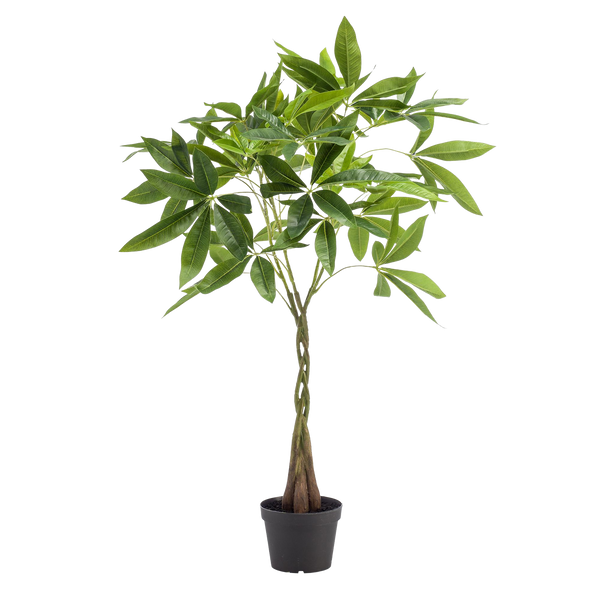Kunstplant Pachira Aquatica 90cm