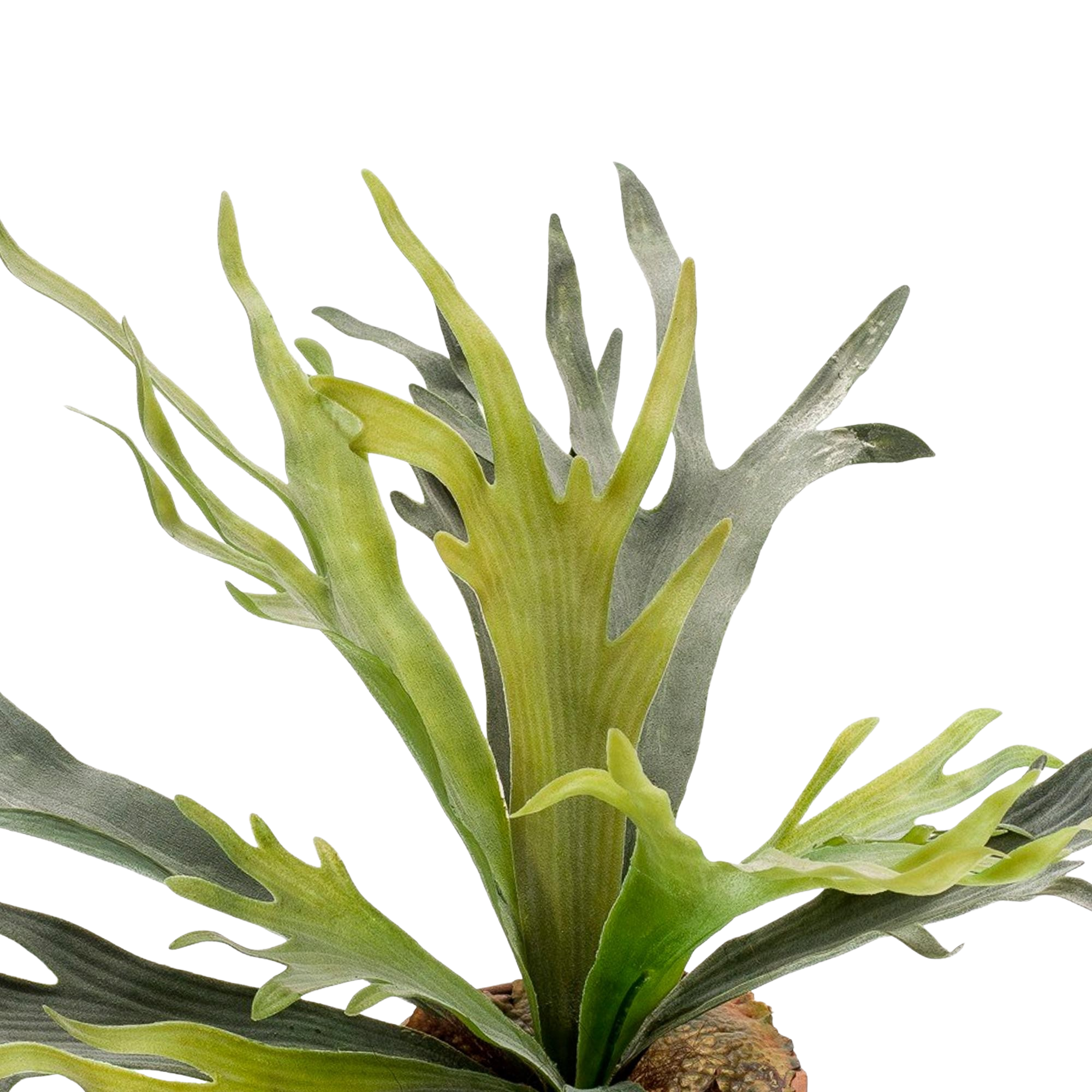 Kunstplant Hertshoorn 50 cm