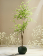 Kunstplant Sophora Honingboom 140cm