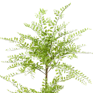 Kunstplant Sophora Honingboom 140cm