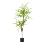 Kunstplant Sophora Honingboom 140cm