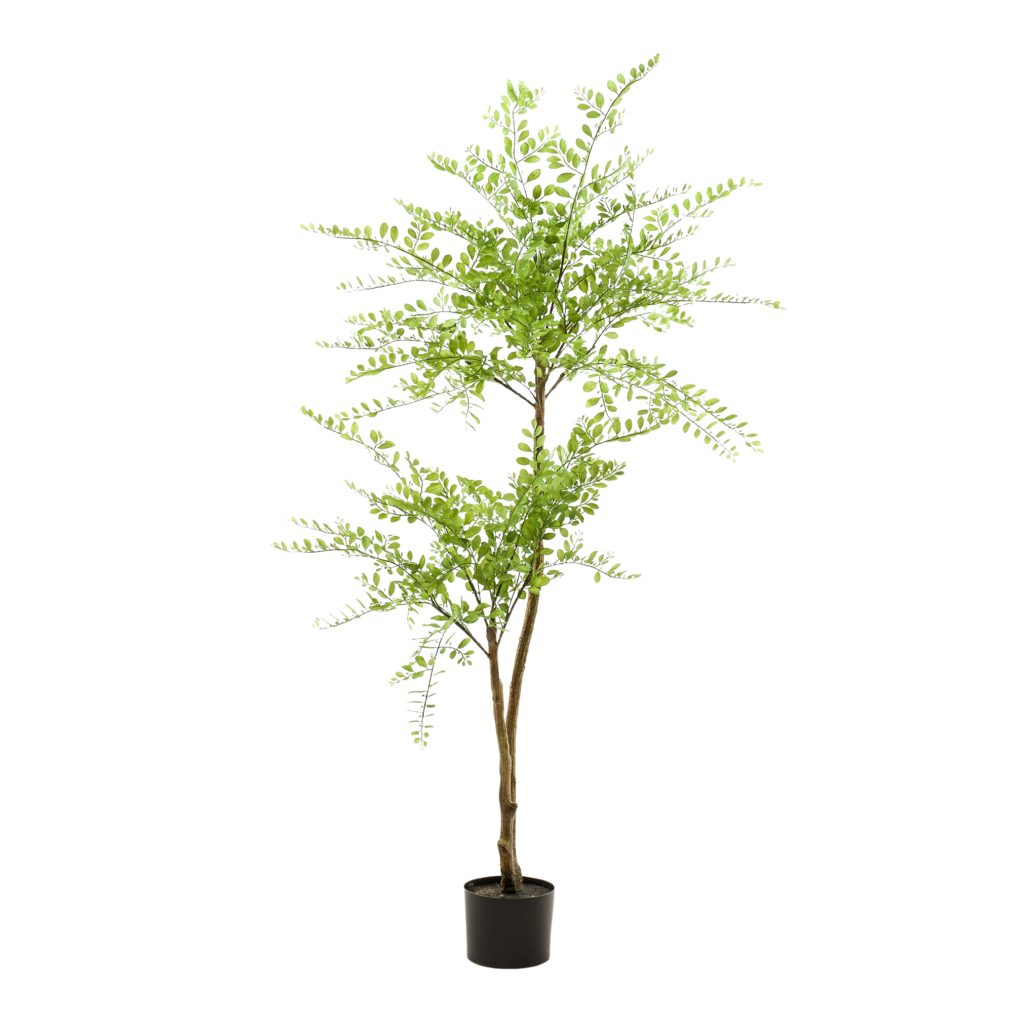 Kunstplant Sophora Honingboom 140cm
