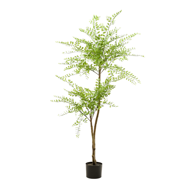 Kunstplant Sophora Honingboom 140cm
