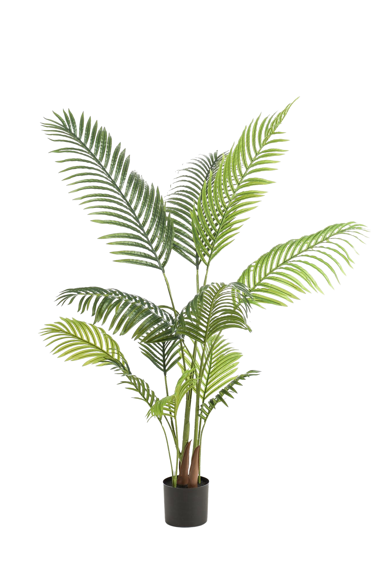 Kunstplant Howea Forsteriana 140 cm