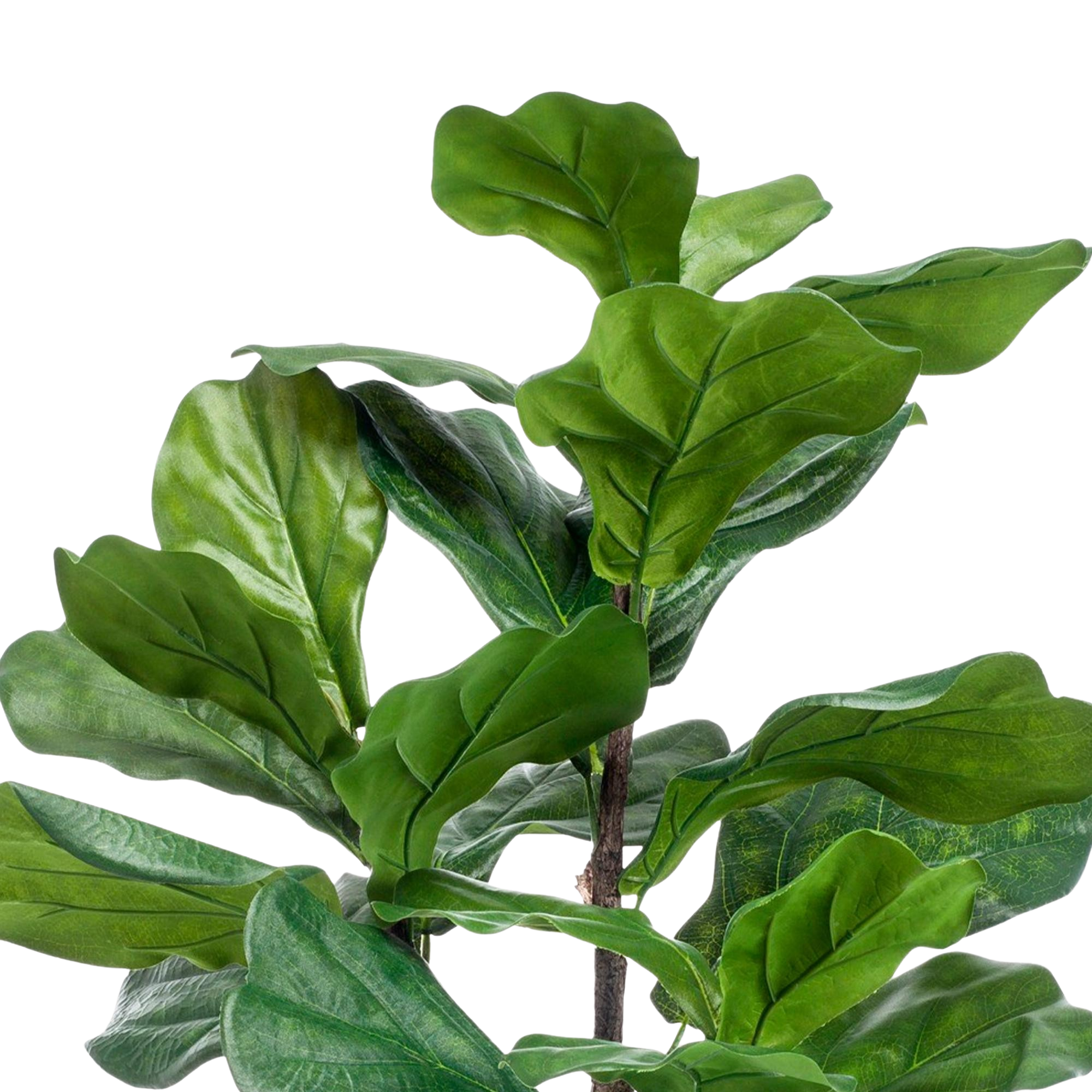 Kunstplant Ficus Lyrata 90 cm