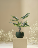 Kunstplant Monstera Deliciosa 65 cm