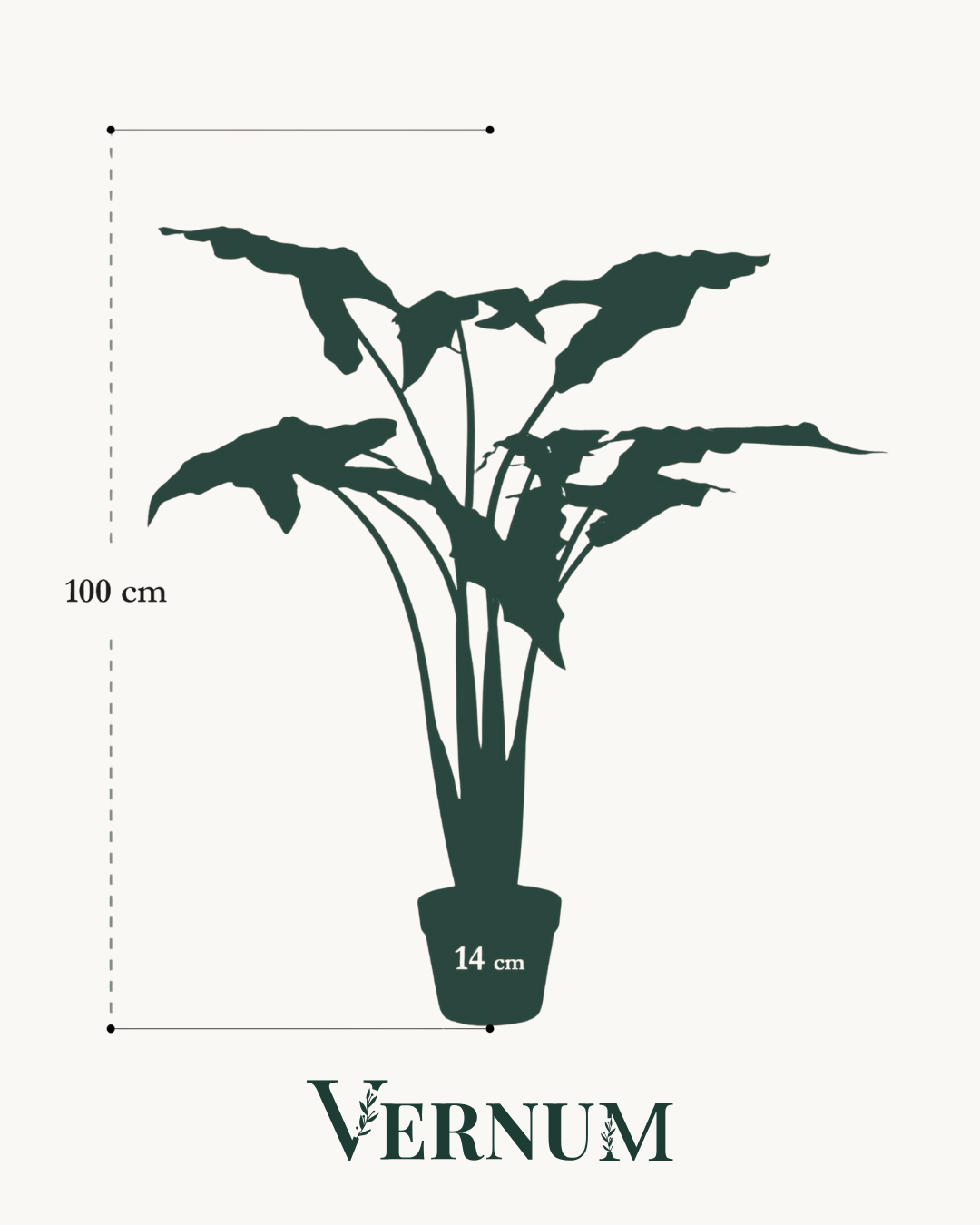 Kunstplant Alocasia Frydek 120 cm