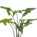 Kunstplant Alocasia Frydek 120 cm