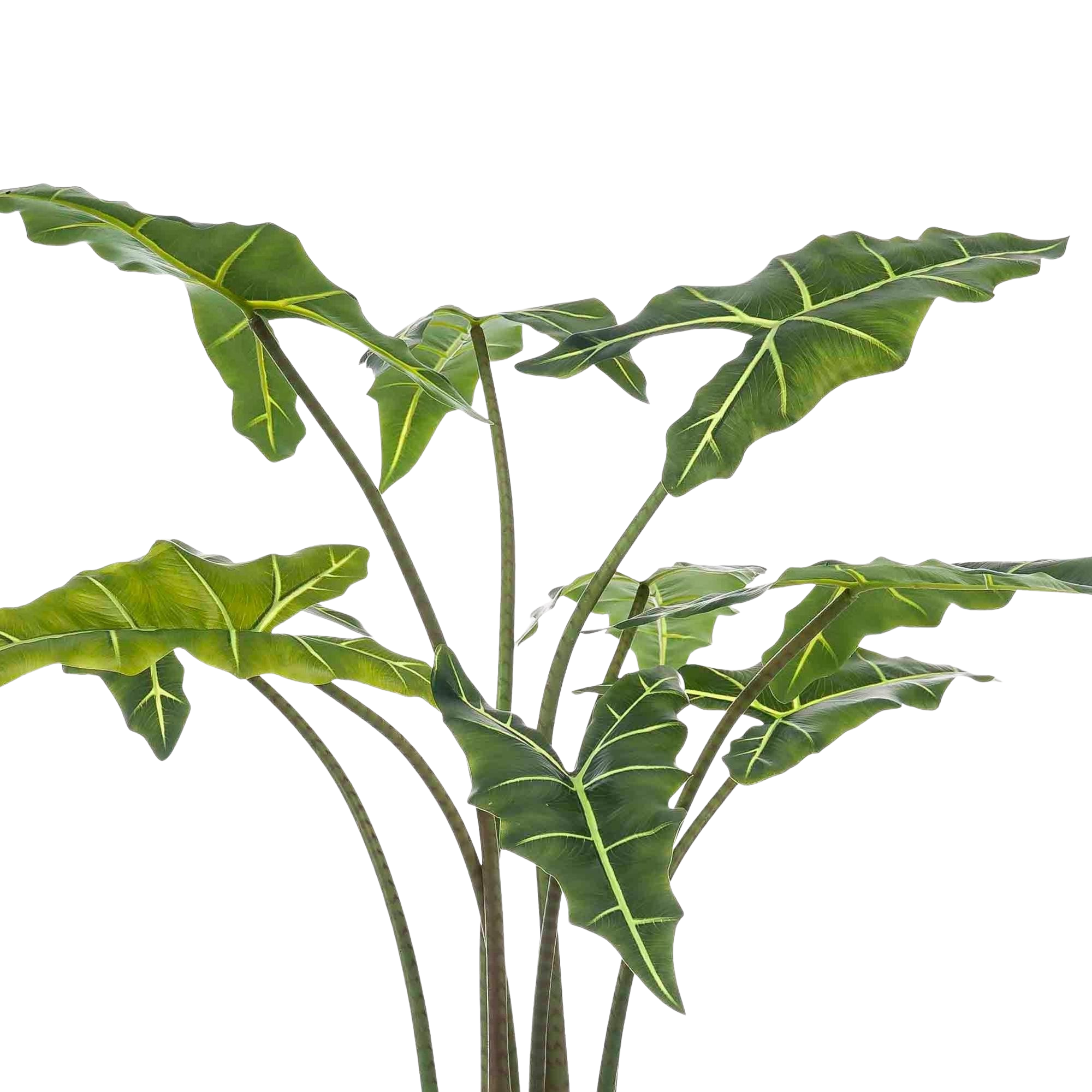 Kunstplant Alocasia Frydek 120 cm