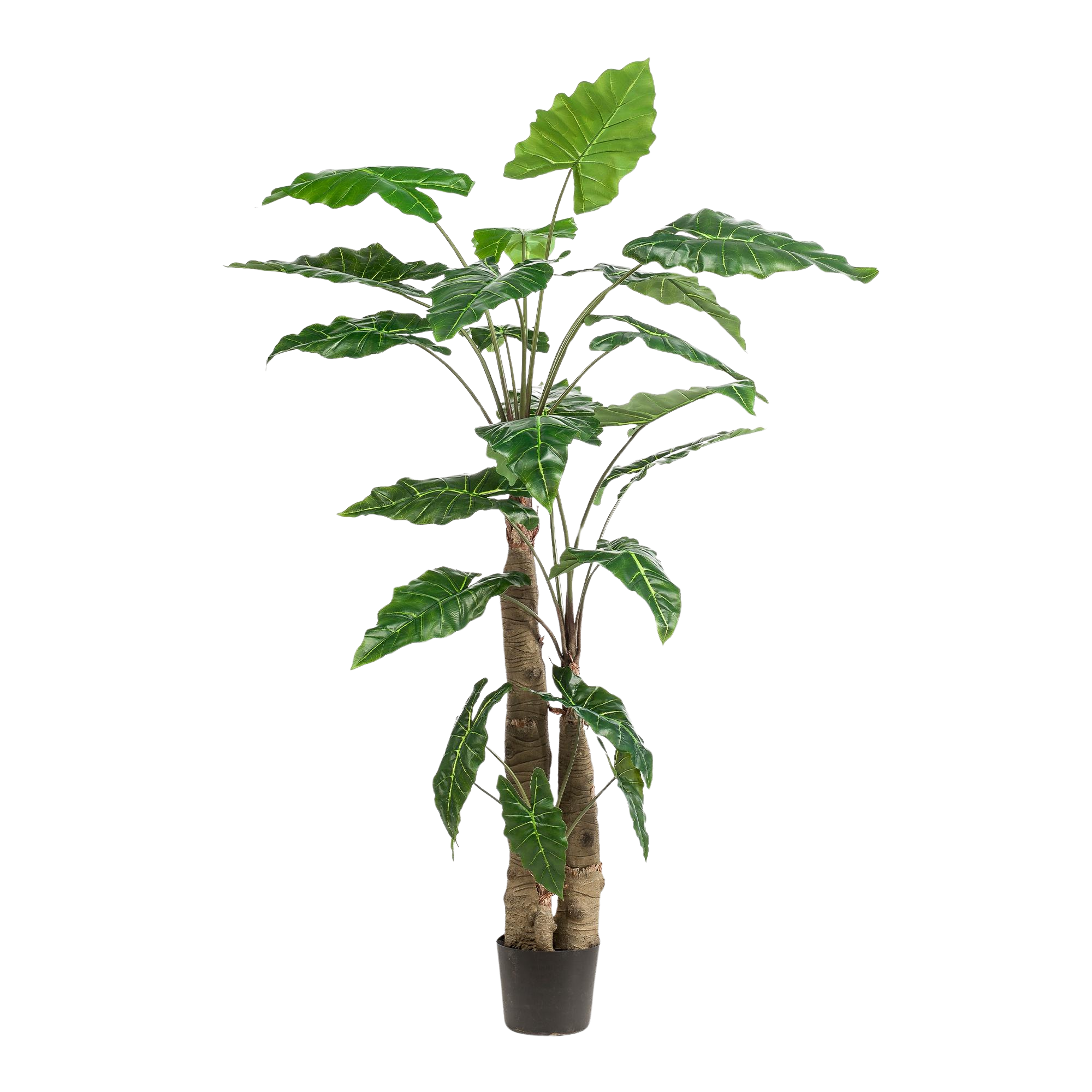 Kunstplant Alocasia 180 cm
